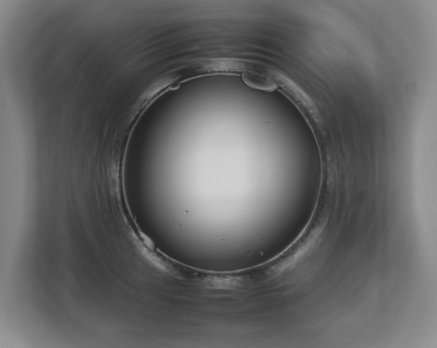 X0000112751041200908271538