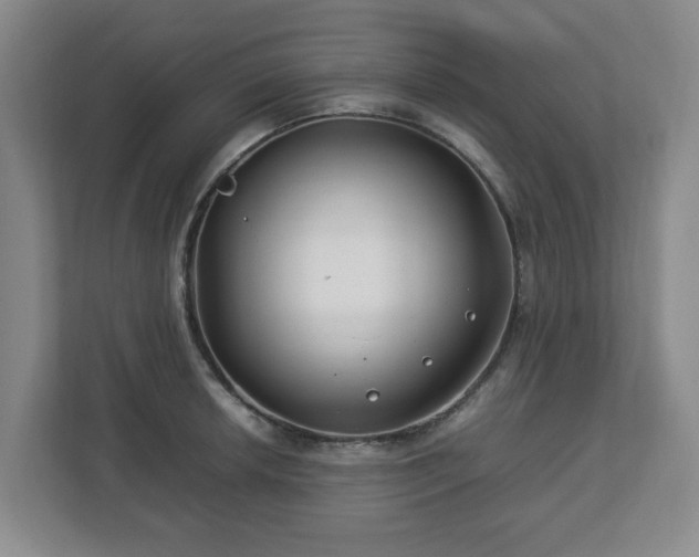 X0000112751042200908271538