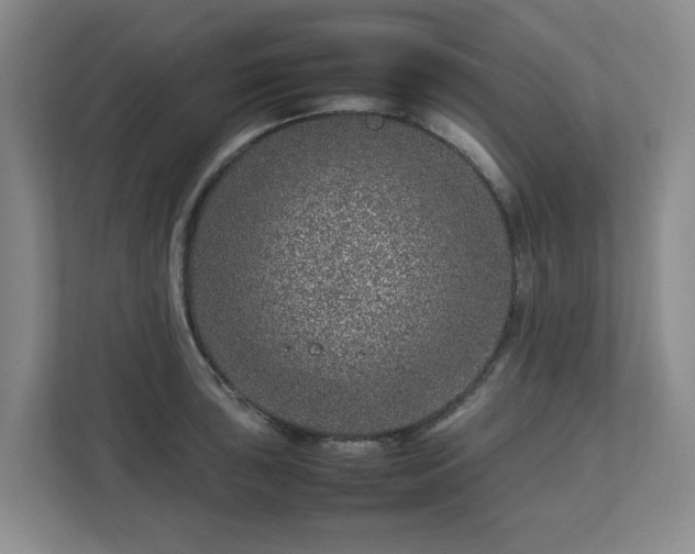 X0000112751043200908271538