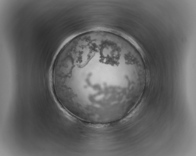 X0000112751048200908271538