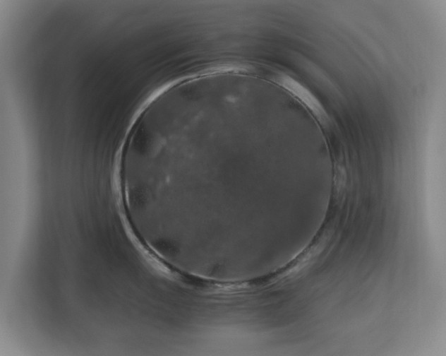 X0000112751055200908271538