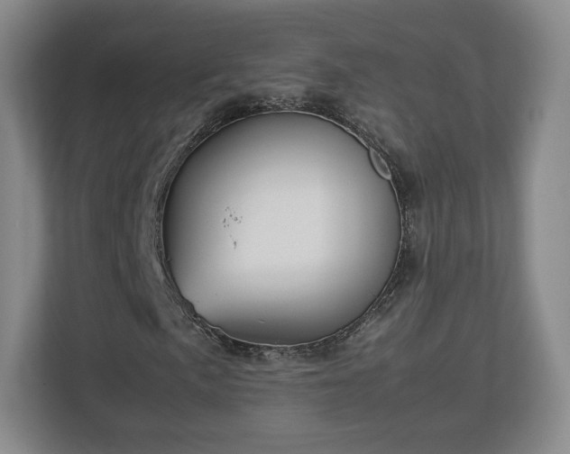 X0000112751057200908271537