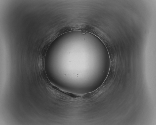 X0000112751058200908271537