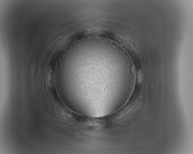 X0000112751059200908271537