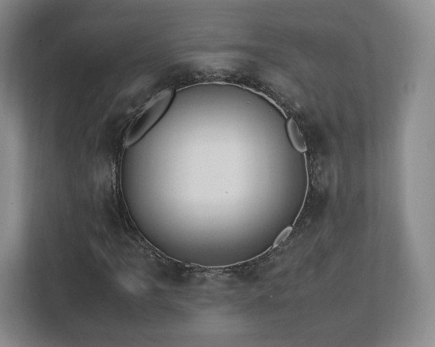 X0000112751061200908271537