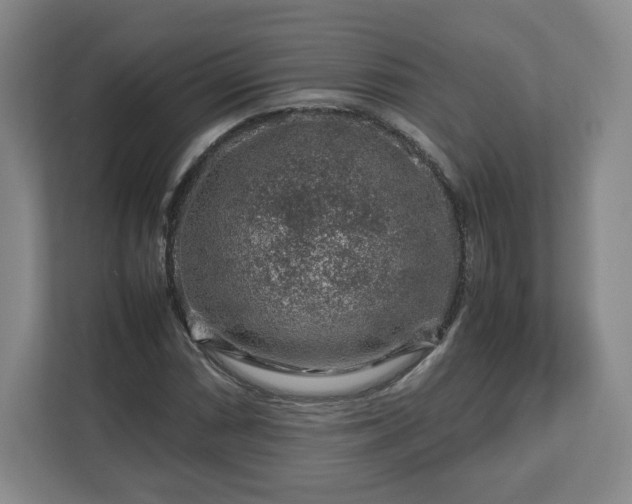 X0000112751066200908271537