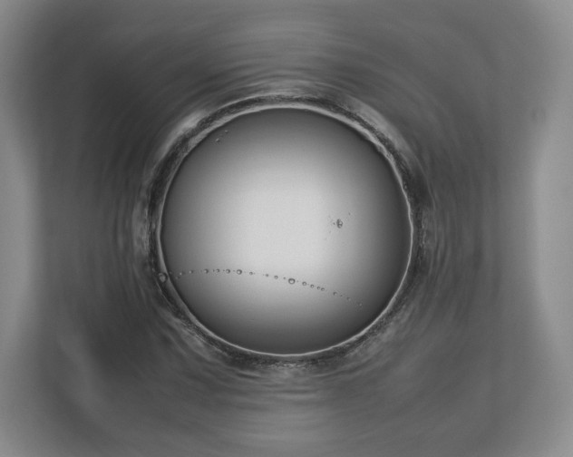 X0000112751067200908271537