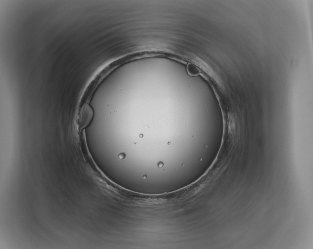 X0000112751068200908271537