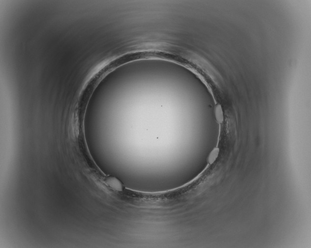 X0000112751069200908271537