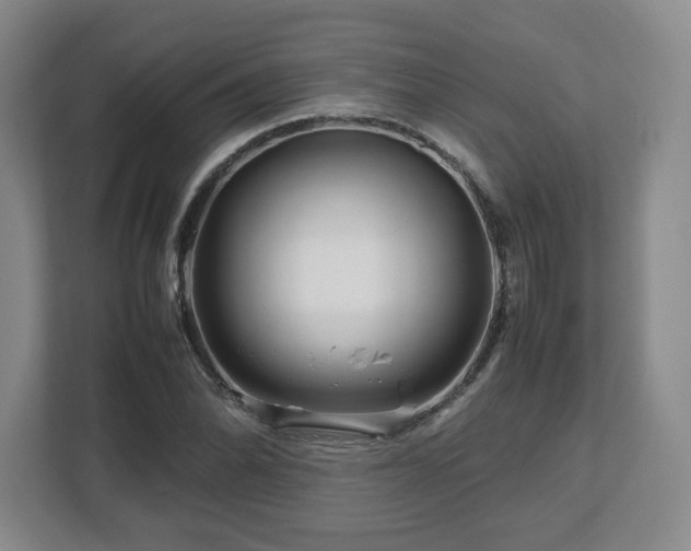 X0000112751070200908271537