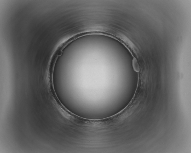 X0000112751072200908271537