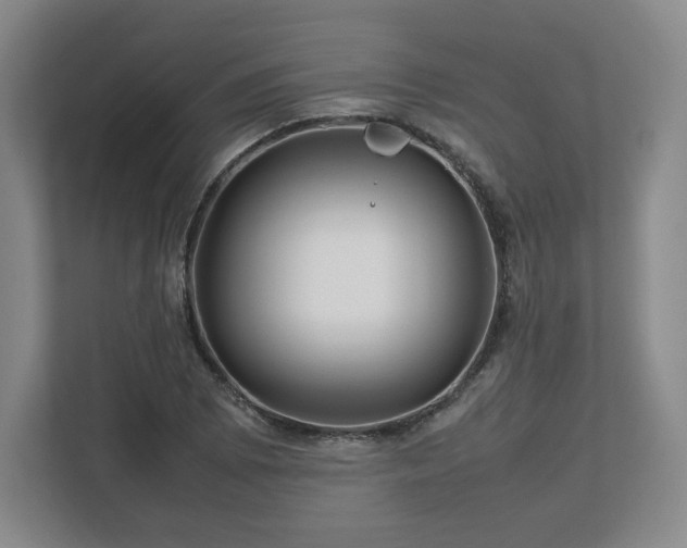 X0000112751073200908271537