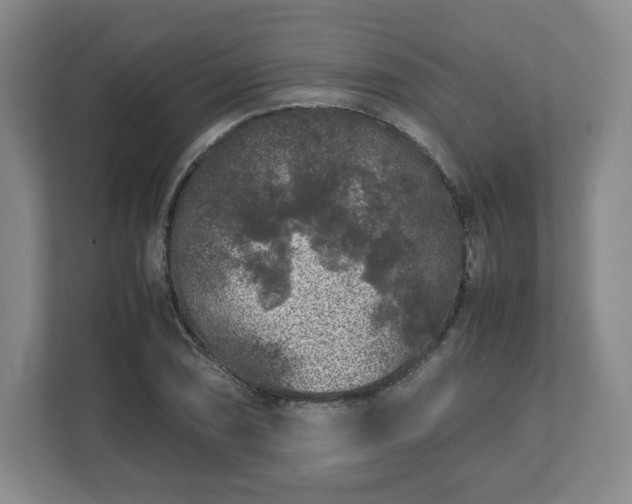 X0000112751074200908271537