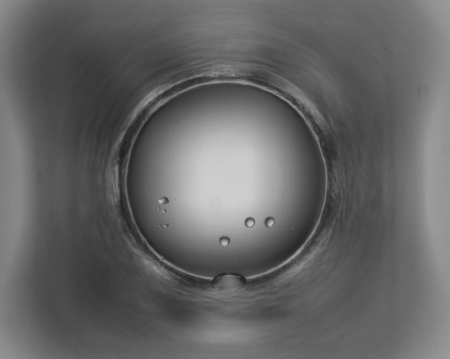 X0000112751075200908271537