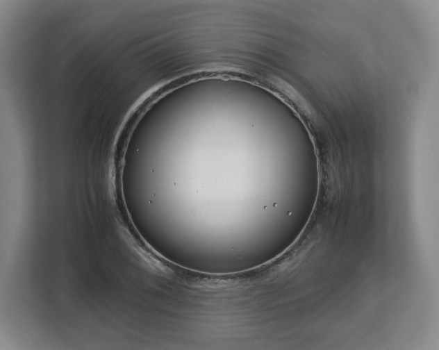 X0000112751076200908271537