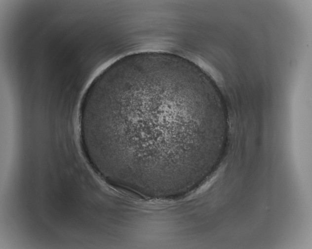 X0000112751077200908271537