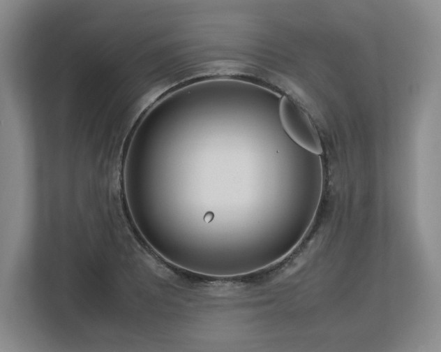 X0000112751081200908271537