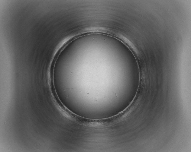 X0000112751082200908271537