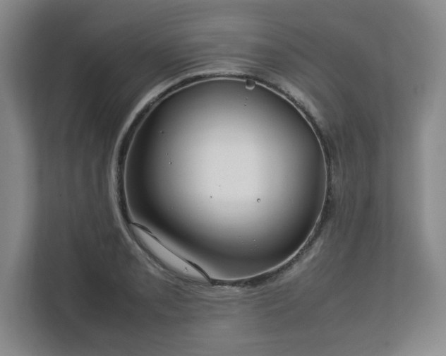 X0000112751085200908271537