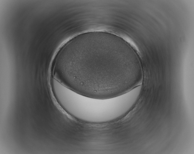 X0000112751088200908271537