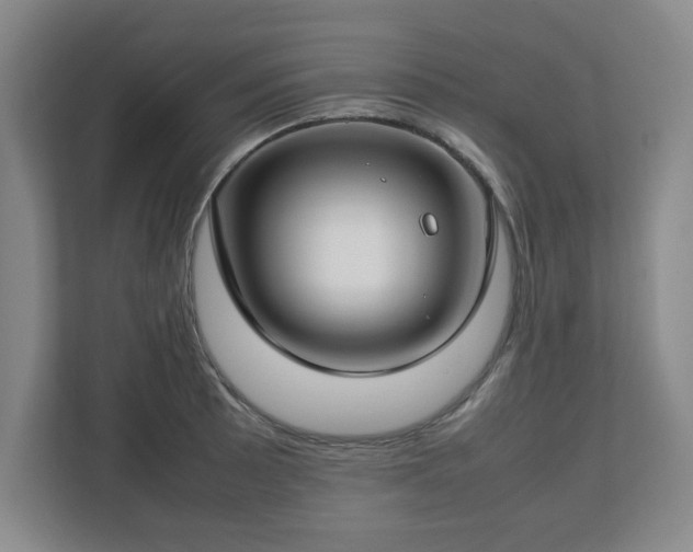 X0000112751089200908271537