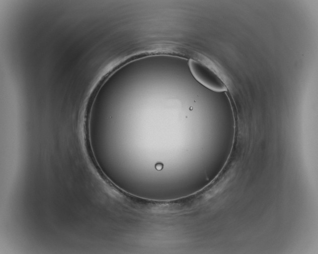 X0000112751093200908271537