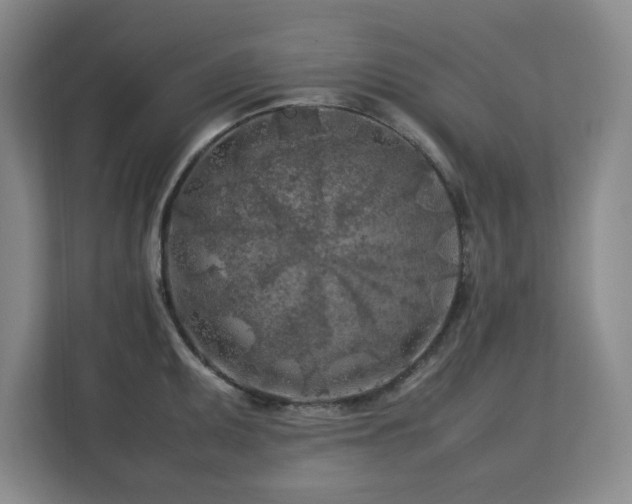 X0000112751095200908271537