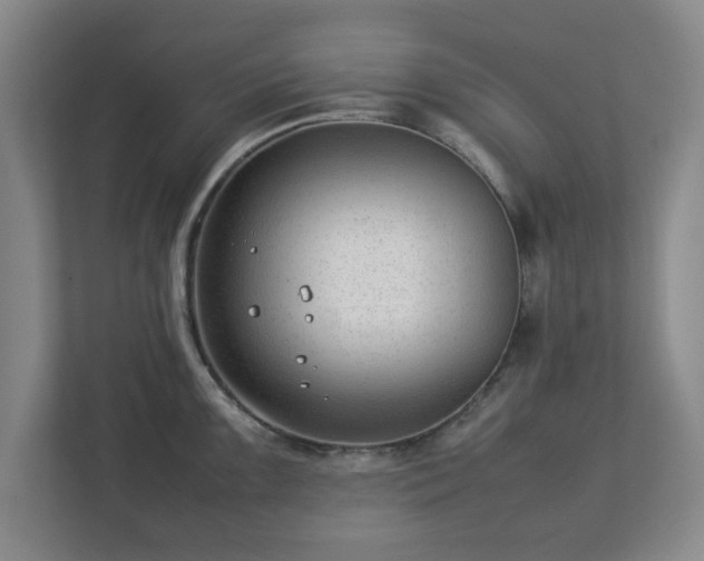 X0000112751099200908271537