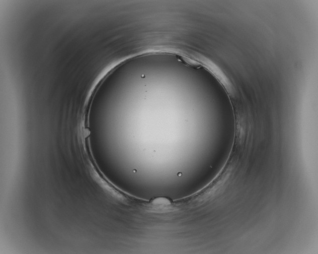 X0000112751100200908271537