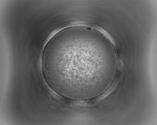 X0000112751101200908271537