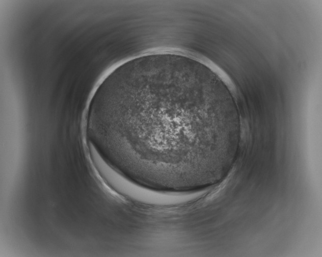 X0000112751102200908271537