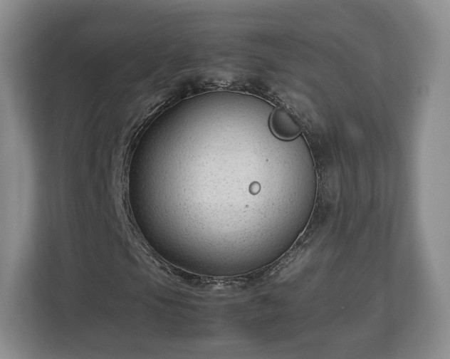 X0000112751105200908271536