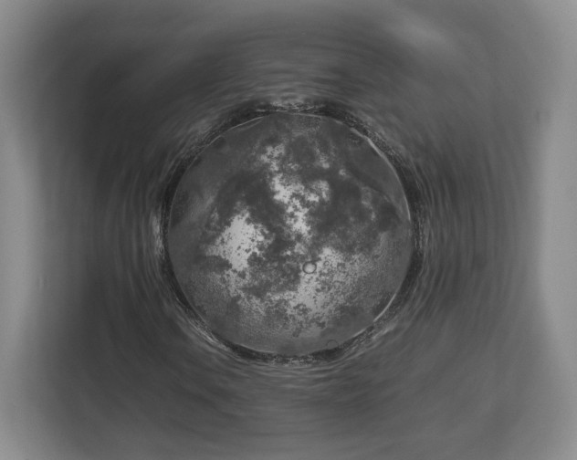 X0000112751106200908271536