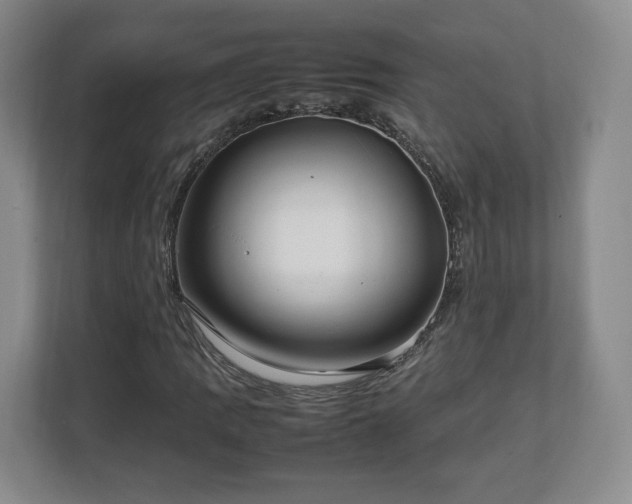 X0000112751109200908271536