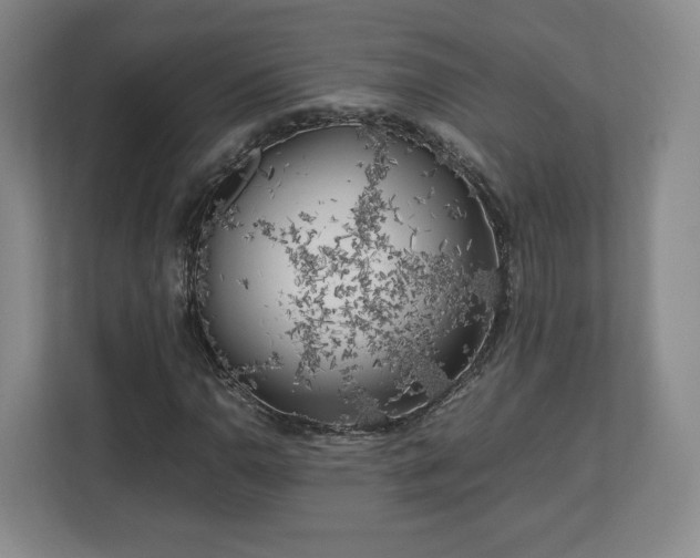 X0000112751110200908271536