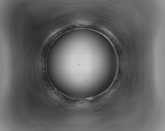 X0000112751112200908271536