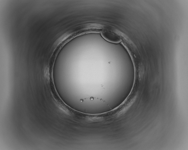 X0000112751113200908271536