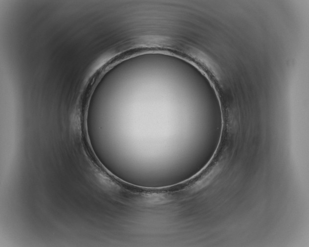 X0000112751114200908271536