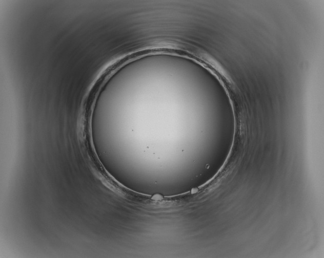 X0000112751116200908271536