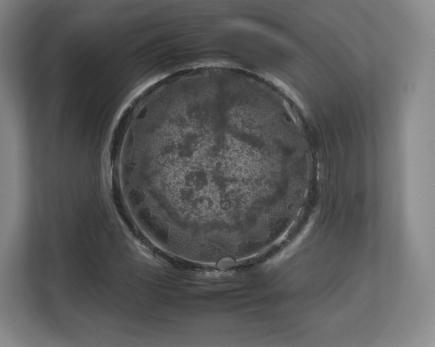 X0000112751117200908271536