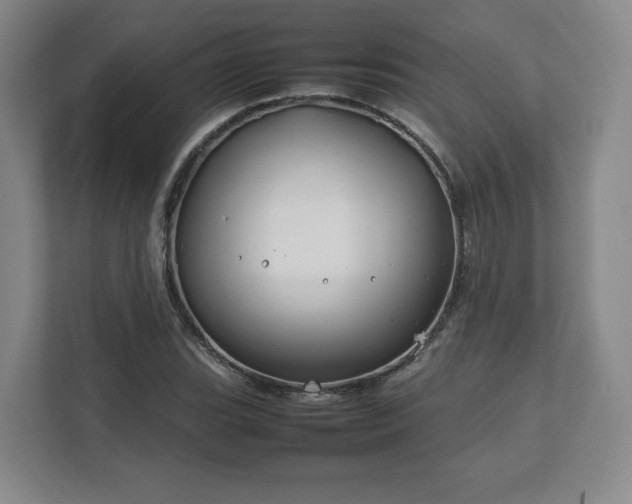 X0000112751119200908271536