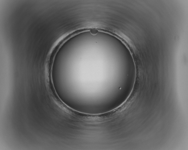 X0000112751120200908271536