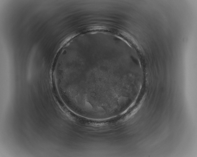 X0000112751121200908271536