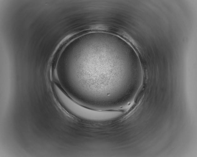 X0000112751123200908271536