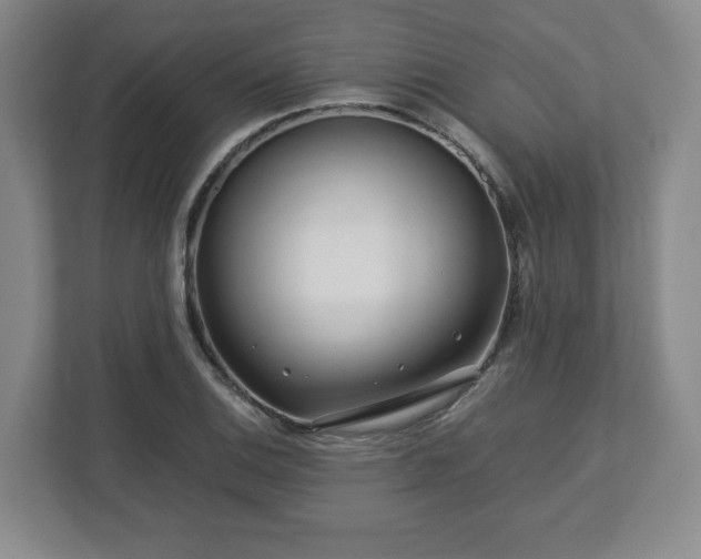 X0000112751124200908271536