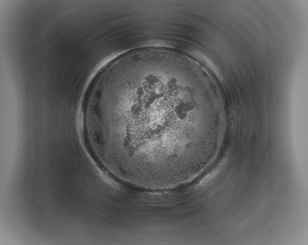 X0000112751125200908271536