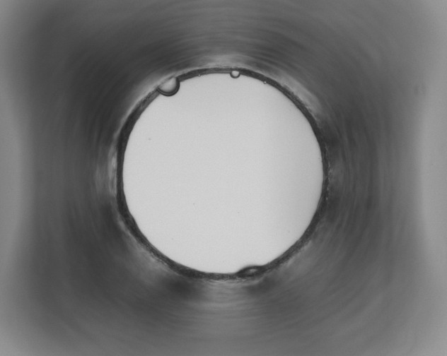 X0000112751126200908271536