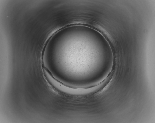 X0000112751129200908271536