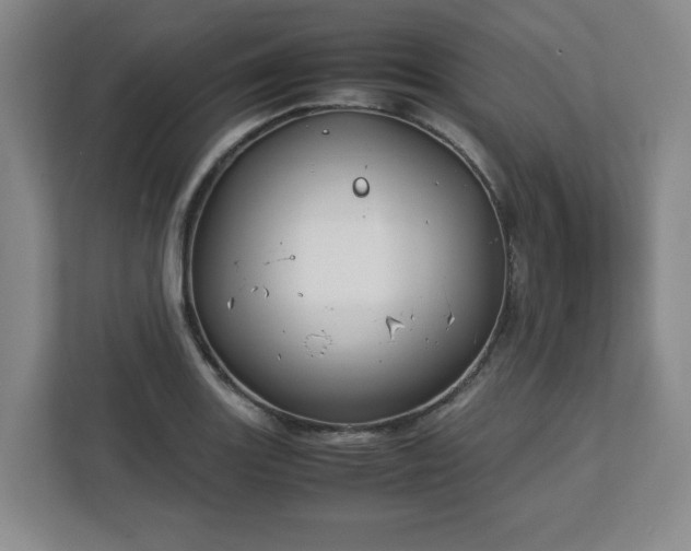 X0000112751131200908271536