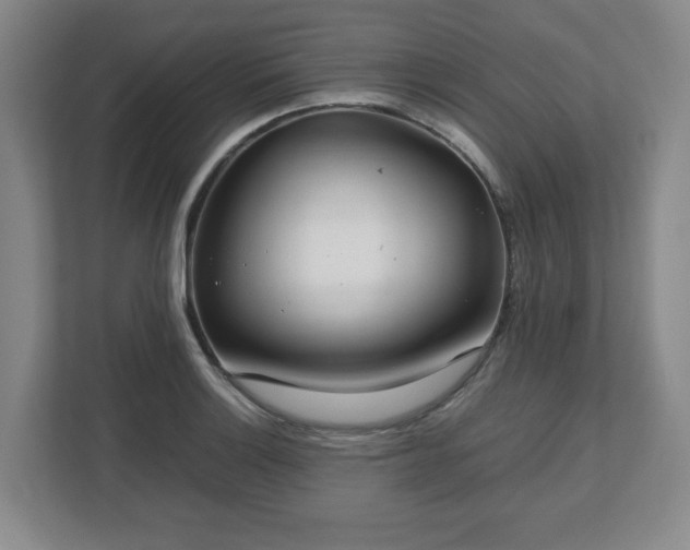 X0000112751132200908271536